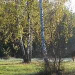 Vakantieboerderij Wieza Na Gorce Kunow
