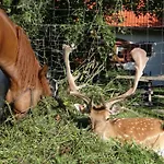 Vakantieboerderij Wieza Na Gorce Kunow