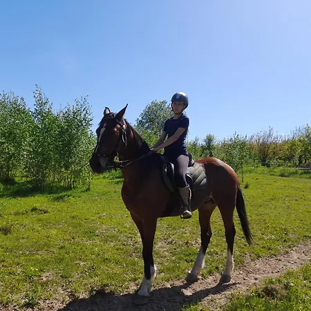 Farm stay Wieza Na Gorce Kunow