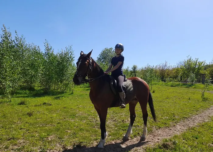 Farm stay Wieza Na Gorce Kunow